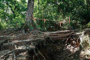 BIB: 
                            <button type="button" onclick="openModal(27799998)" class="btn btn-primary btn-sm float-right btn-popup" data-toggle="modal" data-target=".modal-high-quality">
                        <i class="fas fa-shopping-cart"></i> Add to Cart
                    </button>
                                            <button type="button" onclick="isThisMe(27799998, true)" class="btn btn-success btn-sm float-right btn-popup btn-isme hidden" data-toggle="tooltip" data-placement="bottom" title="นี่คือรูปของคุณใช่ไหม คลิกที่นี่เพื่อเอาเข้าอัลบั้ม">
                        <i class="fas fa-plus"></i> Add to album
                    </button>
                    <button type="button" onclick="isThisMe(27799998, false)" class="btn btn-warning btn-sm float-right btn-popup btn-isnotme hidden">
                        <i class="fas fa-ban"></i> Remove from album
                    </button>